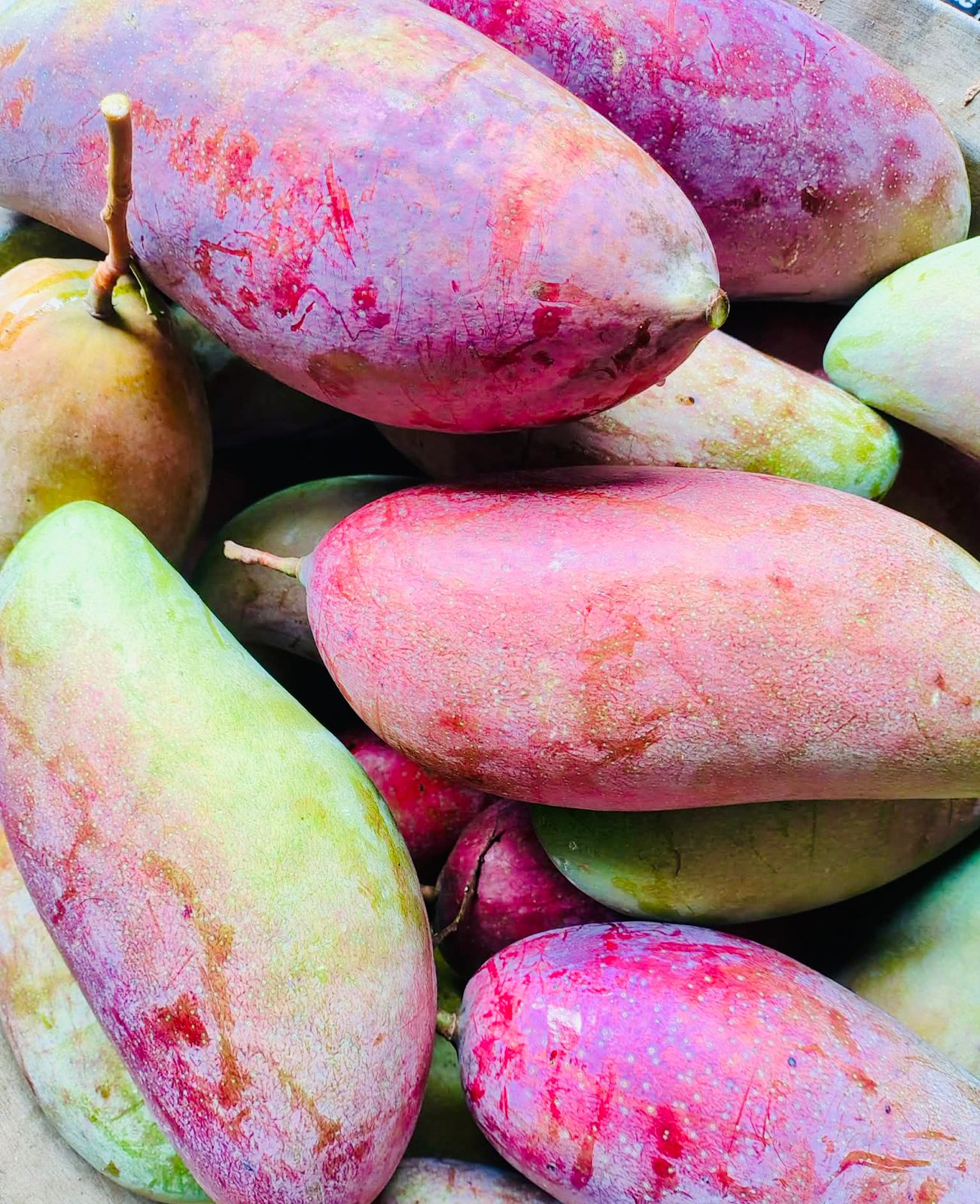 Chiyang Mai Aam